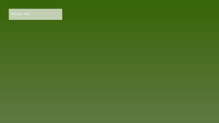 bursa escort
