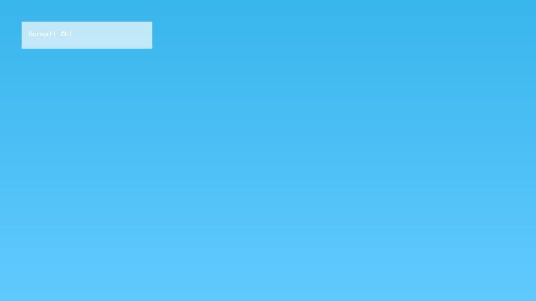 bursa escort