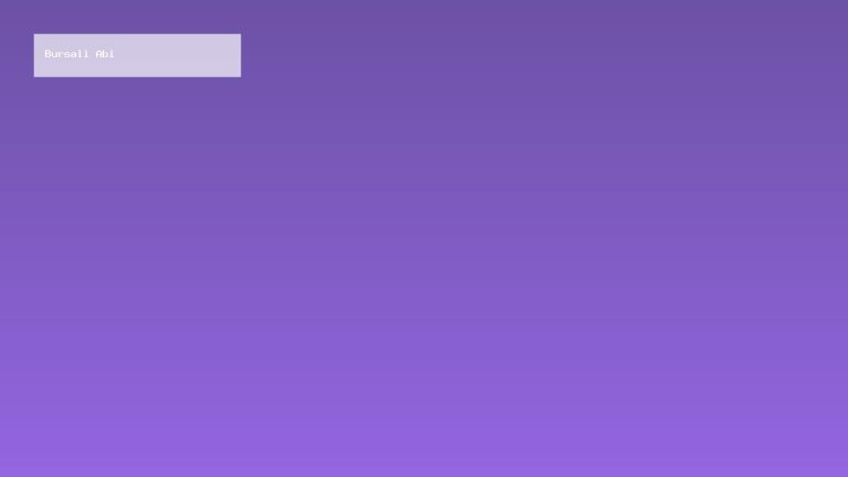 bursa escort